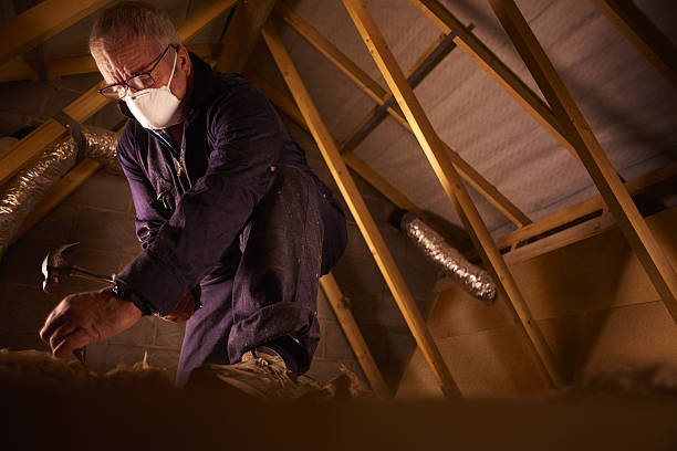 Best DIY Insulation Kits and Guidance in West Point, NE